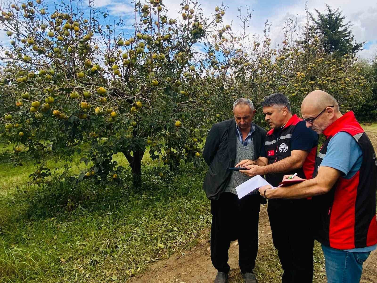 Kozan'da dolu hasarı için ön tespit çalışmaları başladı